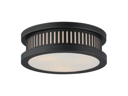 Oxford Outdoor 3-Light Flush Mount Sale