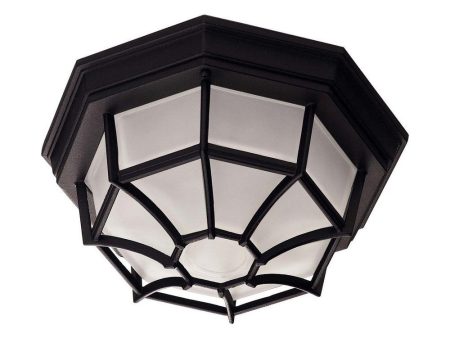 Exterior Collections 1-Light Outdoor Ceiling Light Online