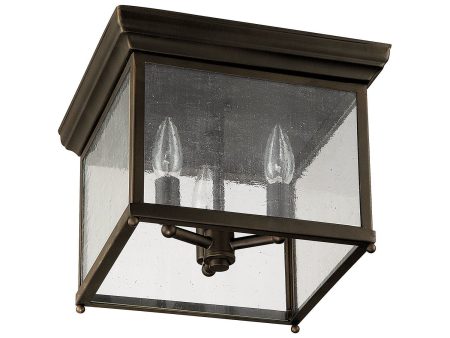 3-Light Outdoor Flush Mount on Sale