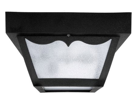 2-Light Outdoor Flush Mount For Sale