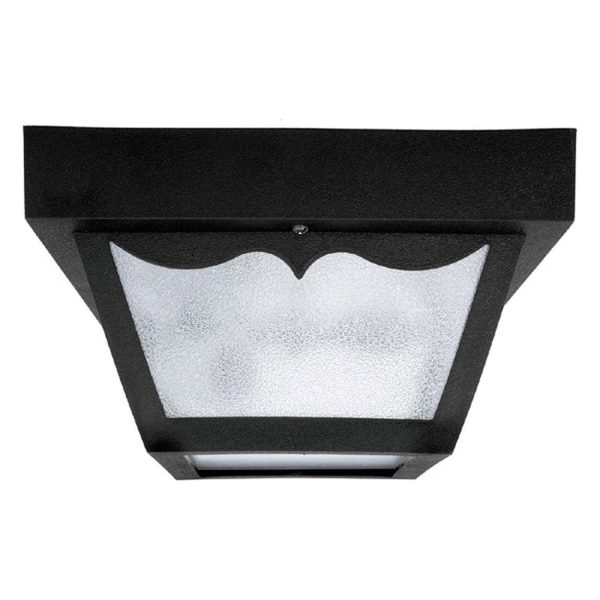 2-Light Outdoor Flush Mount For Sale