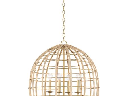 Wren 4-Light Pendant Online