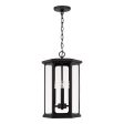 Walton 4-Light Outdoor Hanging Lantern Online Hot Sale