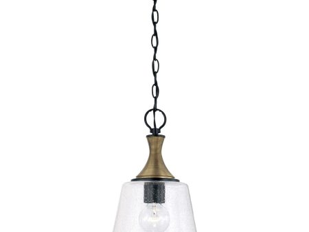 Amara 1-Light Pendant Online