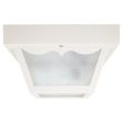 2-Light Outdoor Flush Mount For Sale