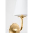 Winnipeg 1-Light Wall Sconce Online Hot Sale