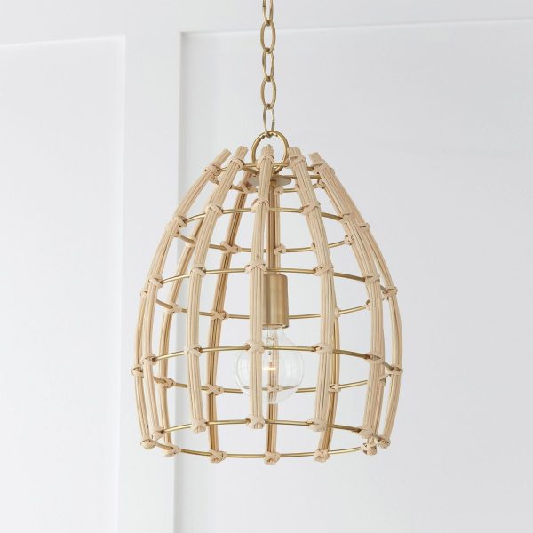 Wren 1-Light Pendant Hot on Sale