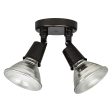 2-Light Outdoor Floodlight Fashion