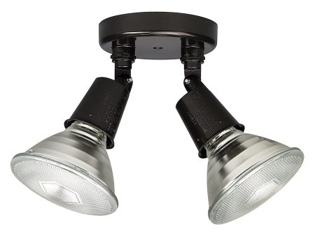 2-Light Outdoor Floodlight Fashion