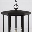 Walton 4-Light Outdoor Hanging Lantern Online Hot Sale