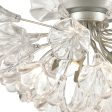 Celene 19  Wide 5-Light Semi Flush Mount Online