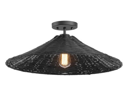 1-Light Ceiling Light Online Hot Sale