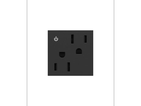 15A Tamper-Resistant Dual-Controlled Outlet For Cheap