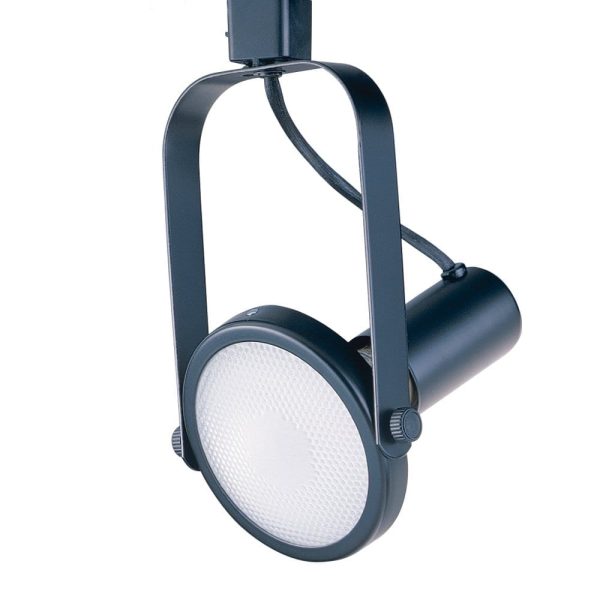 Line Voltage Gimbal Track Cylinder for use with Par 38 Lamps Online now