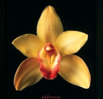 Eric Hansen: Orchids Address Book [2005] Online Hot Sale