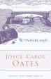 Joyce Carol Oates: Wonderland [2006] paperback Discount