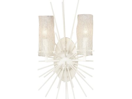 Sea Urchin 21  High 2-Light Sconce Online now