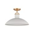 Surf 16  Wide 1-Light Semi Flush Mount For Cheap