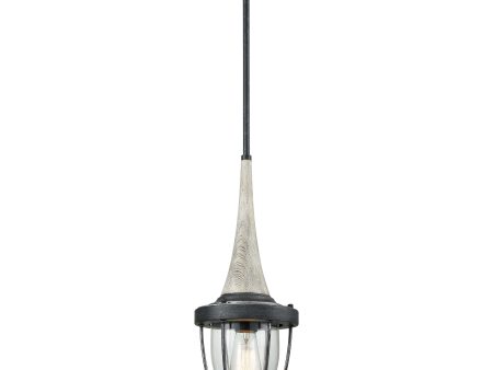 Sturgis 18  Tall 1-Light Mini Pendant For Sale