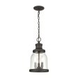 Renford 8  Wide 3-Light Outdoor Pendant Online