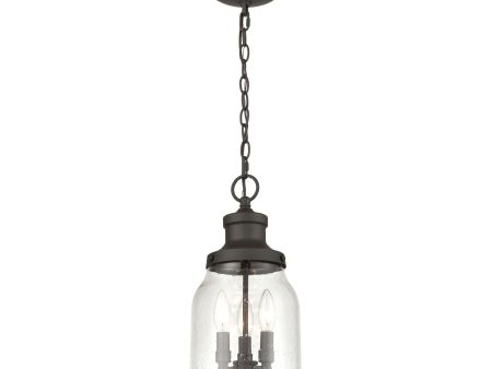 Renford 8  Wide 3-Light Outdoor Pendant Online