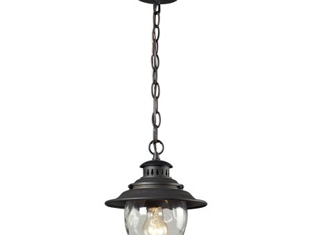 Searsport 8  Wide 1-Light Outdoor Pendant Online