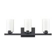 Dressler 22  Wide 3-Light Vanity Light Fashion