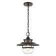 Renninger 11  Wide 1-Light Outdoor Pendant Cheap