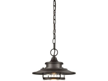 Renninger 11  Wide 1-Light Outdoor Pendant Cheap