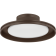 Cannes 1-Light Exterior Flush Mount Online Hot Sale