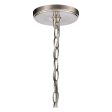 Rotunde 26  Wide 6-Light Chandelier For Sale